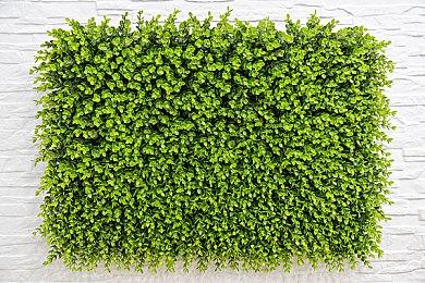 昨天是《星空》发售一周年 B社公布故事DLC新细节